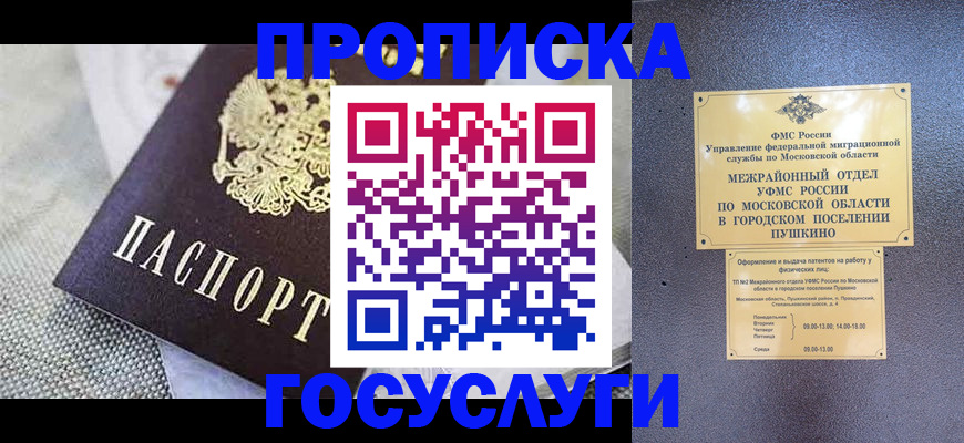 временная прописка в Гатчине
